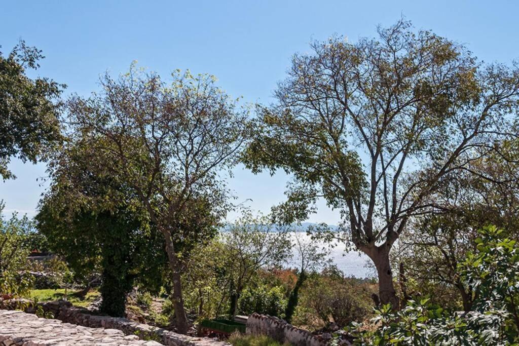 Peaceful Apartment With Beautiful Sea View Rabac Exterior foto